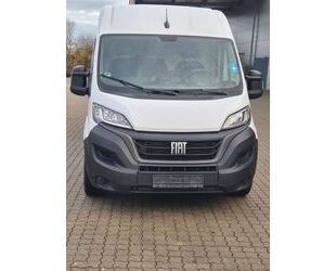 Fiat Ducato Gebrauchtwagen