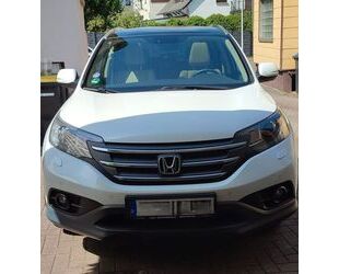 Honda CR-V Gebrauchtwagen