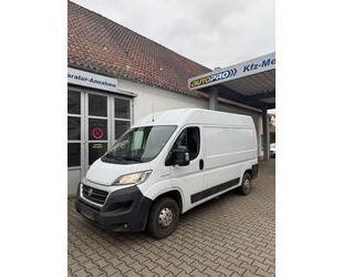 Fiat Ducato Gebrauchtwagen