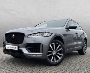 Jaguar F-Pace Gebrauchtwagen