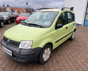 Fiat Panda Gebrauchtwagen