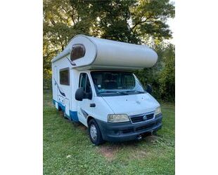 Fiat Ducato Gebrauchtwagen