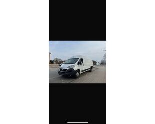 Fiat Ducato Gebrauchtwagen