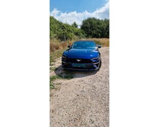 Ford Mustang Gebrauchtwagen