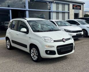 Fiat Panda Gebrauchtwagen
