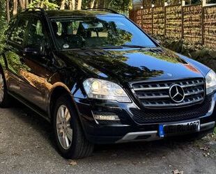 Mercedes-Benz ML 300 Gebrauchtwagen