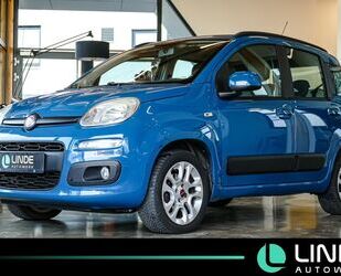 Fiat Panda Gebrauchtwagen