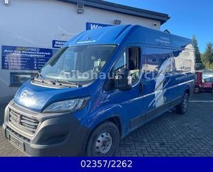 Fiat Ducato Gebrauchtwagen