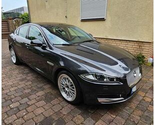 Jaguar XF Gebrauchtwagen