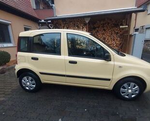 Fiat Panda Gebrauchtwagen