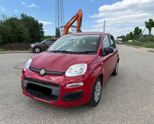 Fiat Panda Gebrauchtwagen