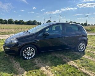 Fiat Punto Gebrauchtwagen