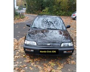 Honda Civic Gebrauchtwagen
