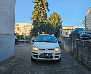Fiat Panda Gebrauchtwagen