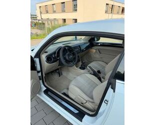 VW Beetle Gebrauchtwagen