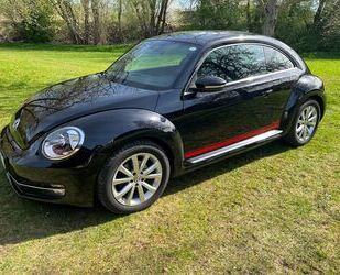 VW Beetle Gebrauchtwagen