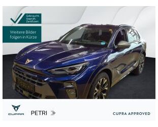Cupra Terramar Gebrauchtwagen