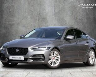 Jaguar XE Gebrauchtwagen
