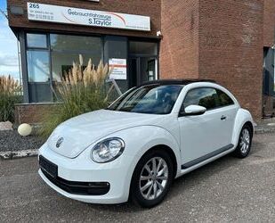 VW Beetle Gebrauchtwagen