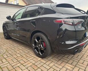 Alfa Romeo Stelvio Gebrauchtwagen