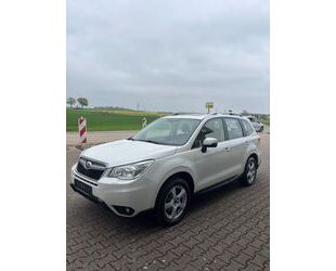 Subaru Forester Gebrauchtwagen