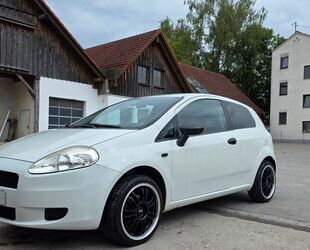 Fiat Punto Gebrauchtwagen