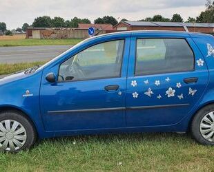 Fiat Punto Gebrauchtwagen