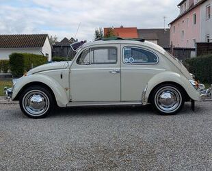VW Käfer Gebrauchtwagen