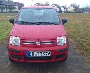 Fiat Panda Gebrauchtwagen