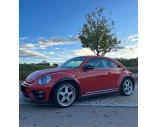 VW Beetle Gebrauchtwagen