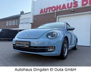 VW Beetle 