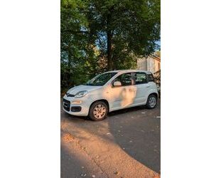 Fiat Panda Gebrauchtwagen
