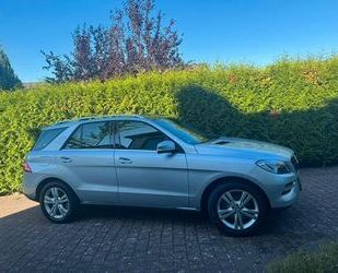 Mercedes-Benz ML 350 Gebrauchtwagen