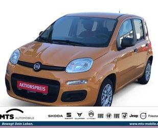 Fiat Panda Gebrauchtwagen