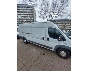 Fiat Ducato Gebrauchtwagen