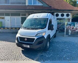 Fiat Ducato Gebrauchtwagen