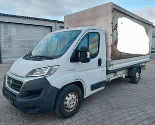 Fiat Ducato Gebrauchtwagen