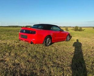 Ford Mustang Gebrauchtwagen