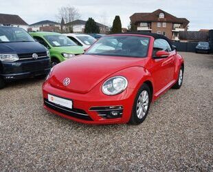 VW Beetle Gebrauchtwagen