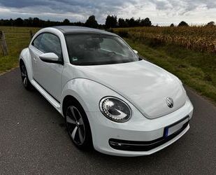 VW Beetle Gebrauchtwagen