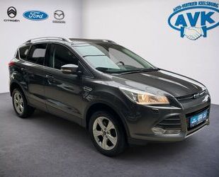Ford Kuga Gebrauchtwagen