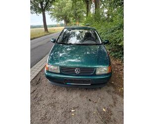 VW Polo Gebrauchtwagen