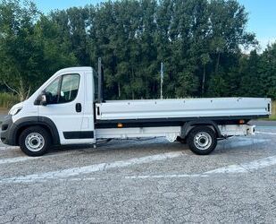 Fiat Ducato Gebrauchtwagen