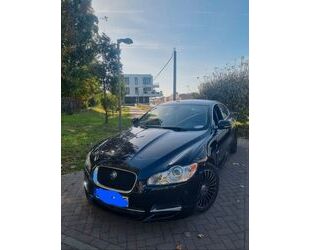 Jaguar XF Gebrauchtwagen