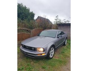 Ford Mustang Gebrauchtwagen
