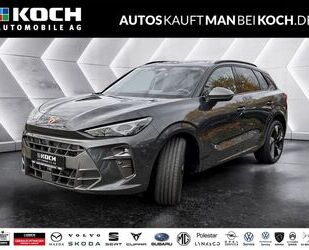 Cupra Terramar Gebrauchtwagen