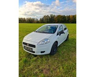 Fiat Punto Gebrauchtwagen