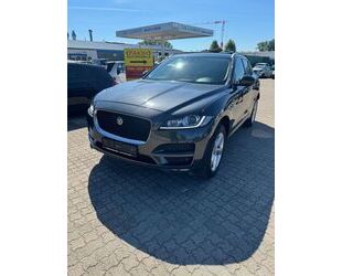 Jaguar F-Pace Gebrauchtwagen