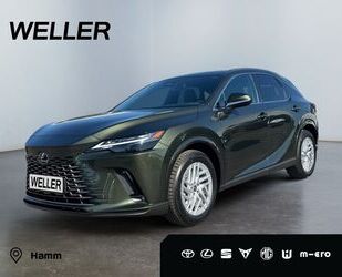 Lexus RX 350 Gebrauchtwagen