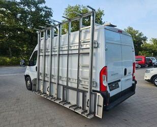 Fiat Ducato Gebrauchtwagen